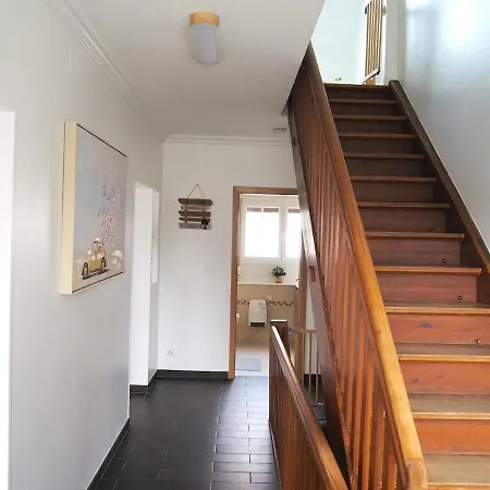 L'échappée Belle - La Tribu