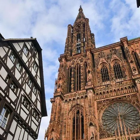 L'échappée Belle - La Tribu *