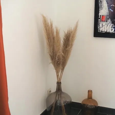 Casa vacanze L'échappée Belle - La Tribu Rhinau